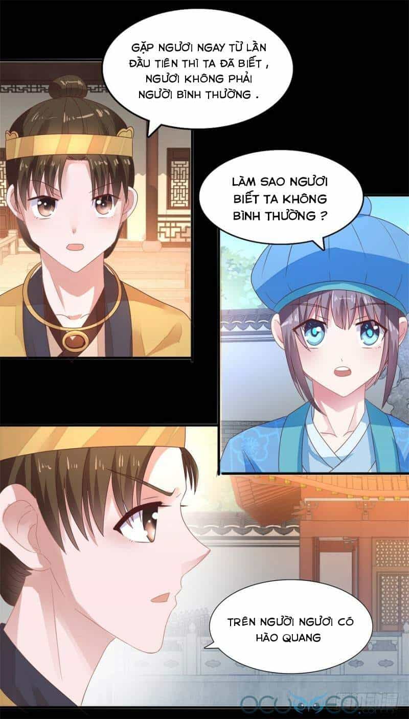 Tư Sủng Âm Dương Phi - Chương 21 - ảnh 21