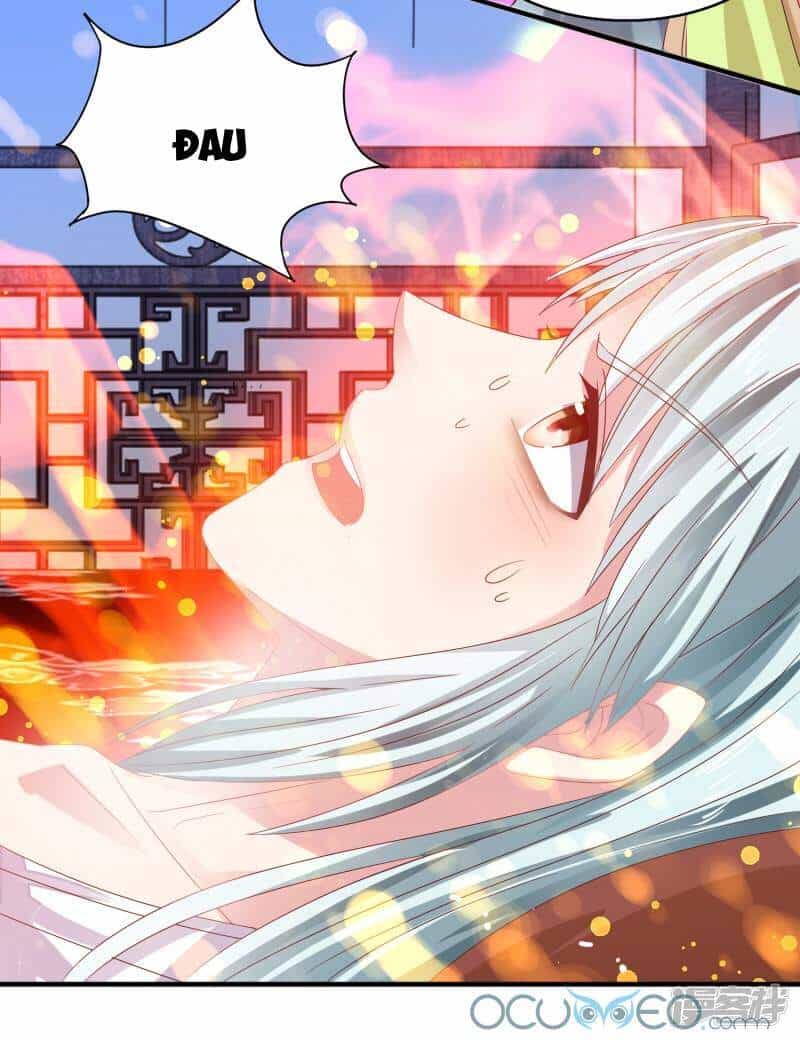 Tư Sủng Âm Dương Phi - Chương 23 - ảnh 20