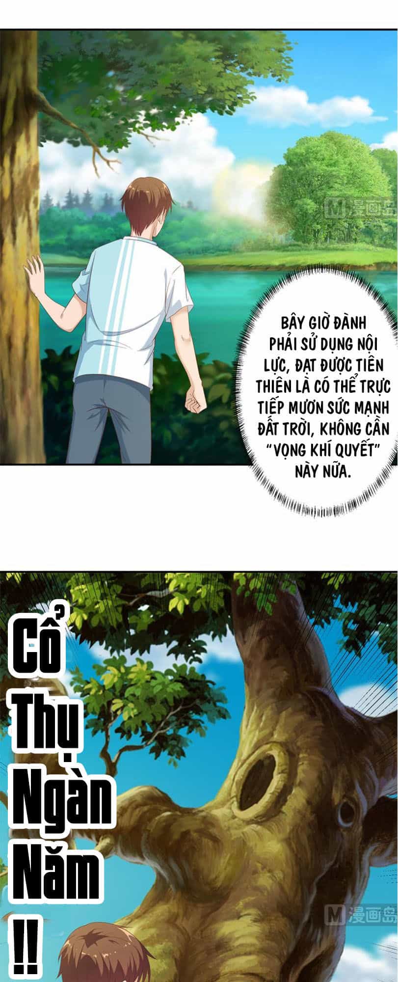 Tu Tiên Trở Về Tại Vườn Trường - Chương 11 - ảnh 4