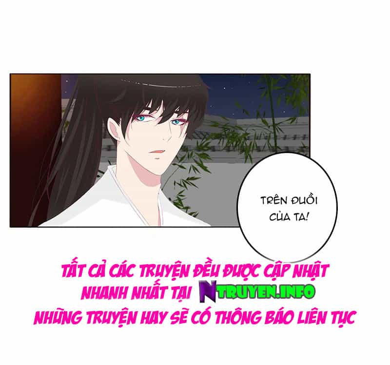 Tướng Quân Xin Xuất Chinh - Chương 115 - ảnh 16