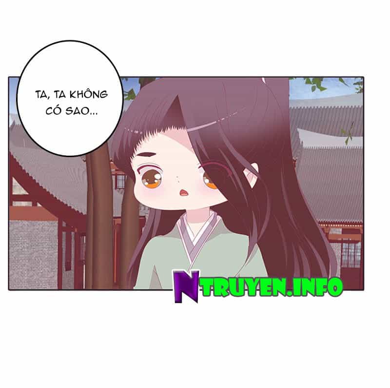 Tướng Quân Xin Xuất Chinh - Chương 74 - ảnh 12