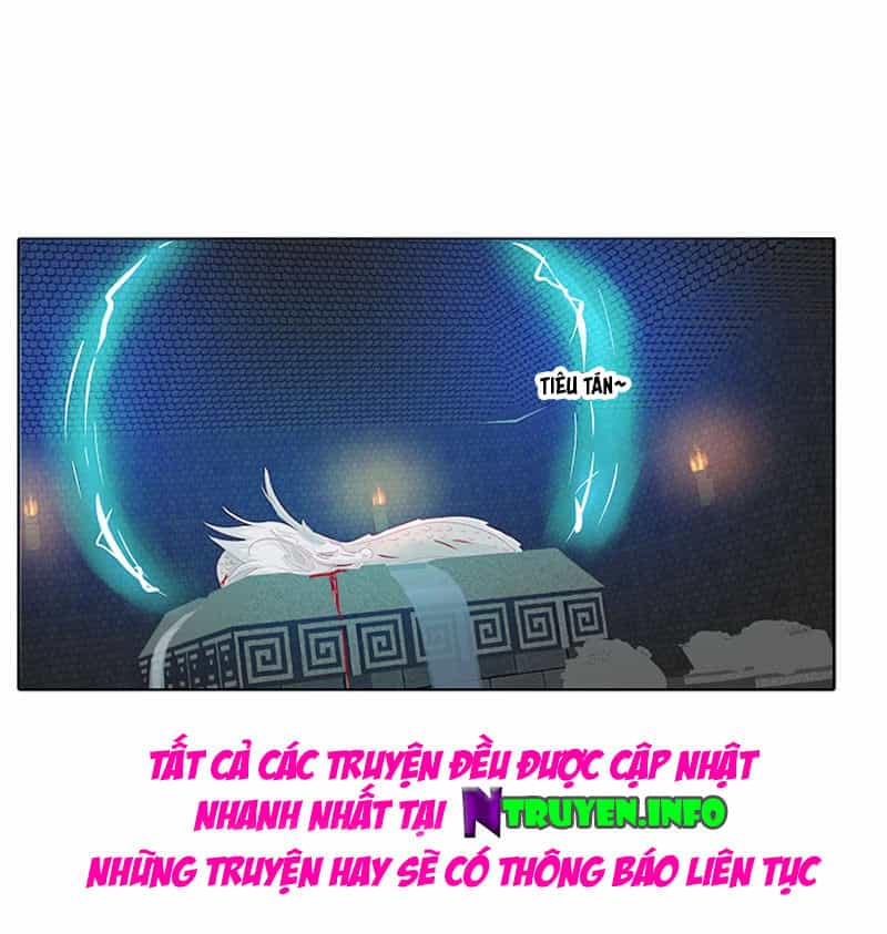 Tướng Quân Xin Xuất Chinh - Chương 77 - ảnh 16