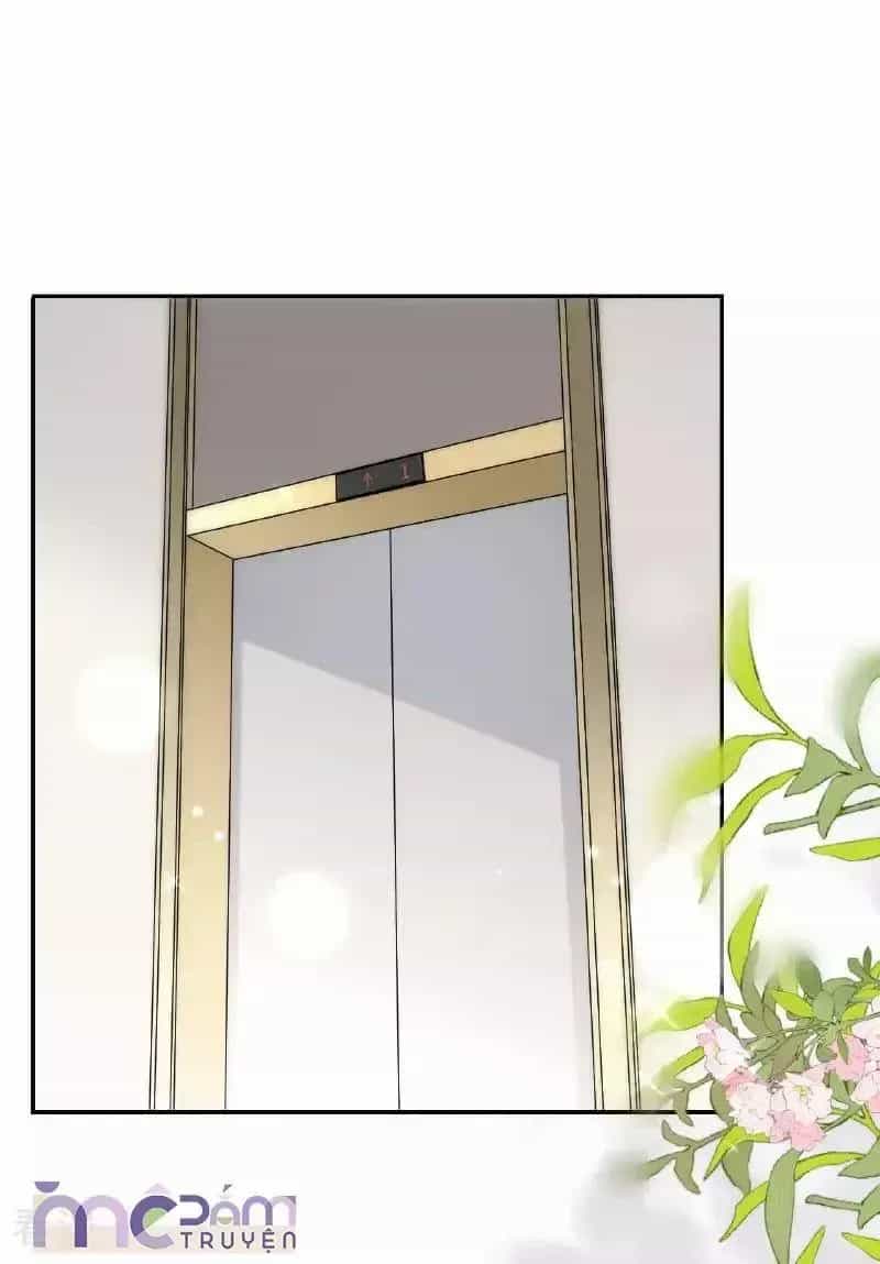 Tùy Ý Thiêu Đốt Lửa Tình - Chương 105 - ảnh 11