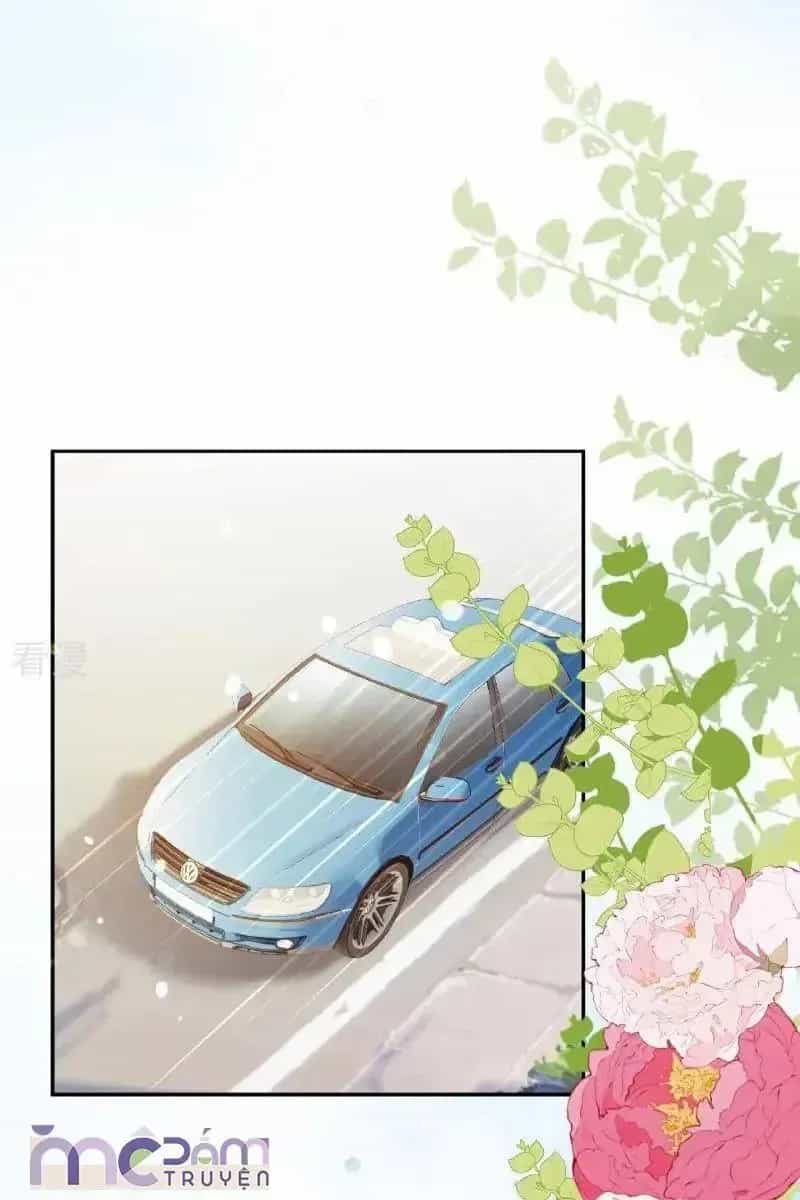 Tùy Ý Thiêu Đốt Lửa Tình - Chương 121.1 - ảnh 15