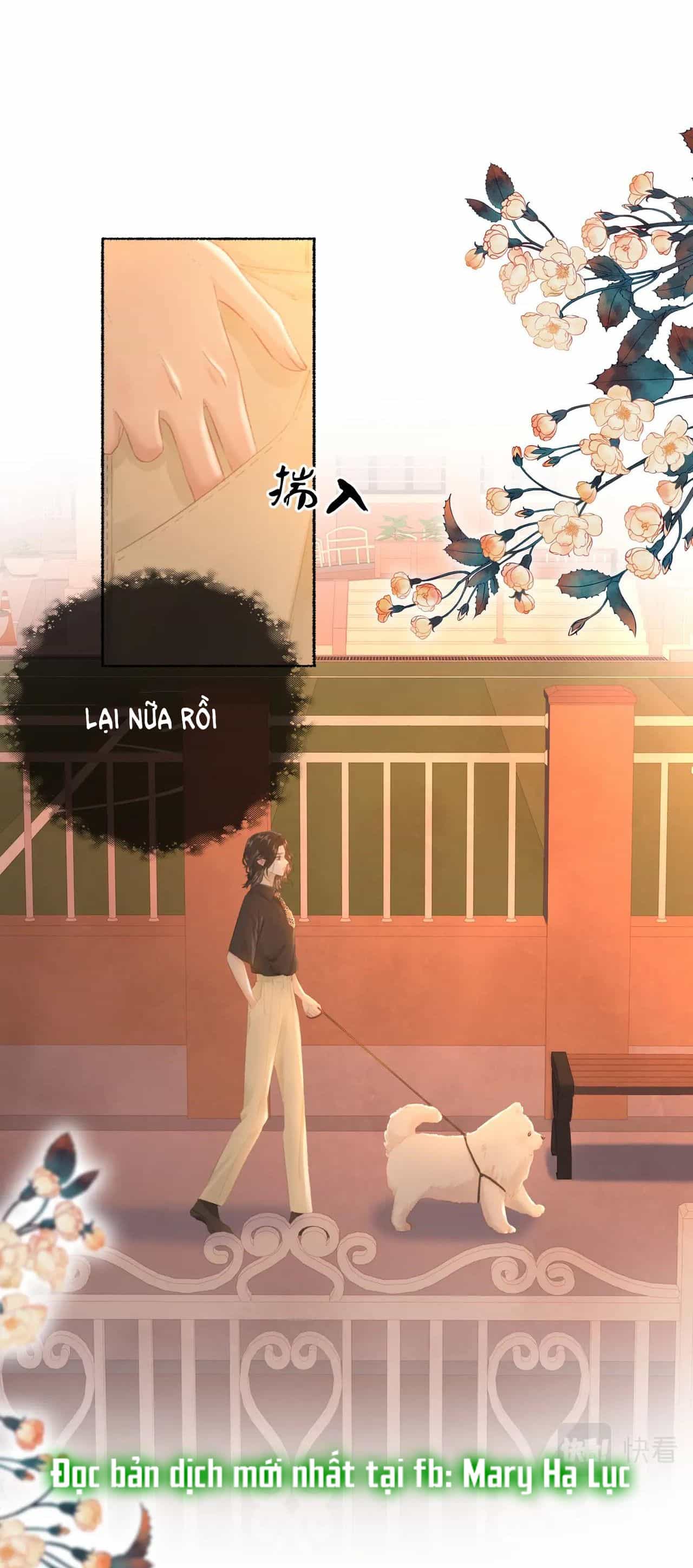 Tùy Ý Thiêu Đốt Lửa Tình - Chương 19 - ảnh 21