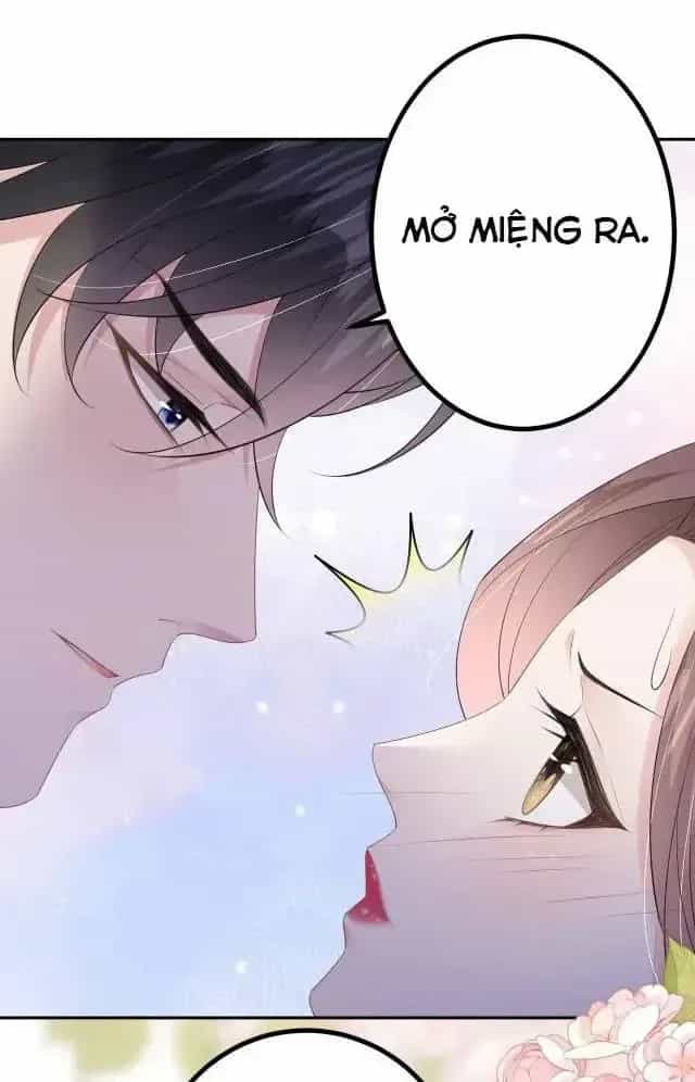 Tùy Ý Thiêu Đốt Lửa Tình - Chương 27 - ảnh 25