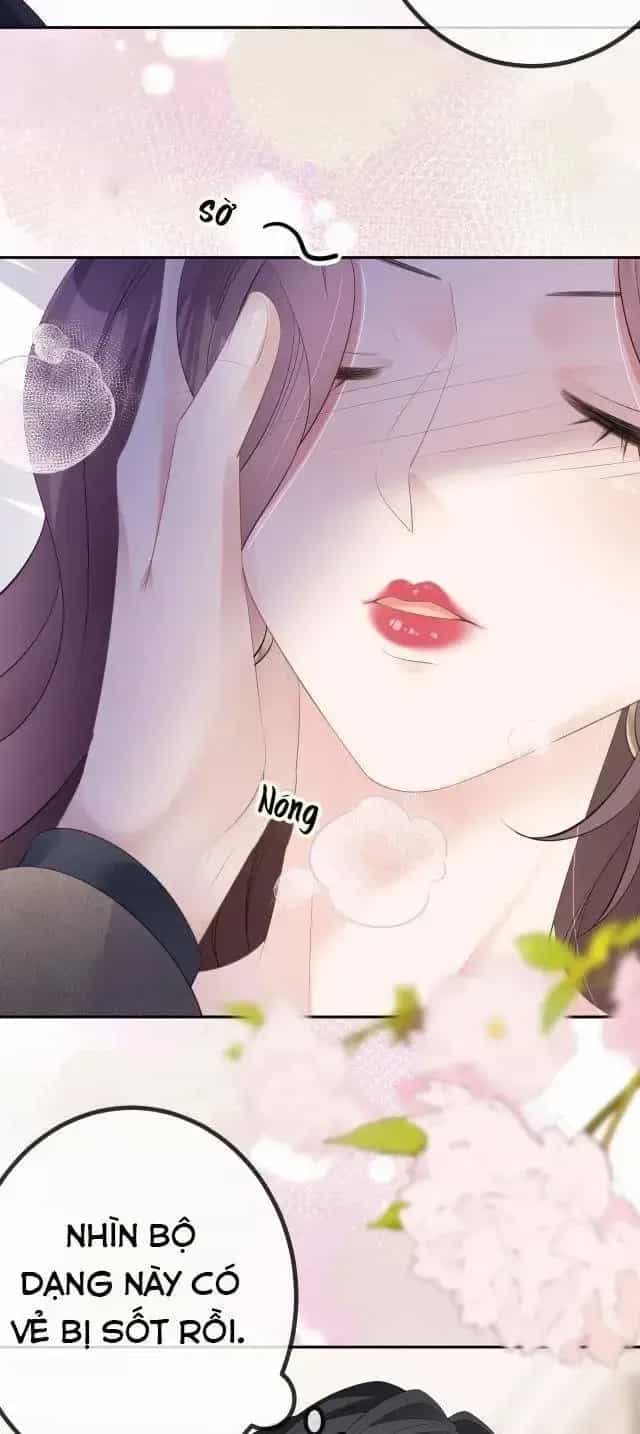 Tùy Ý Thiêu Đốt Lửa Tình - Chương 31 - ảnh 4