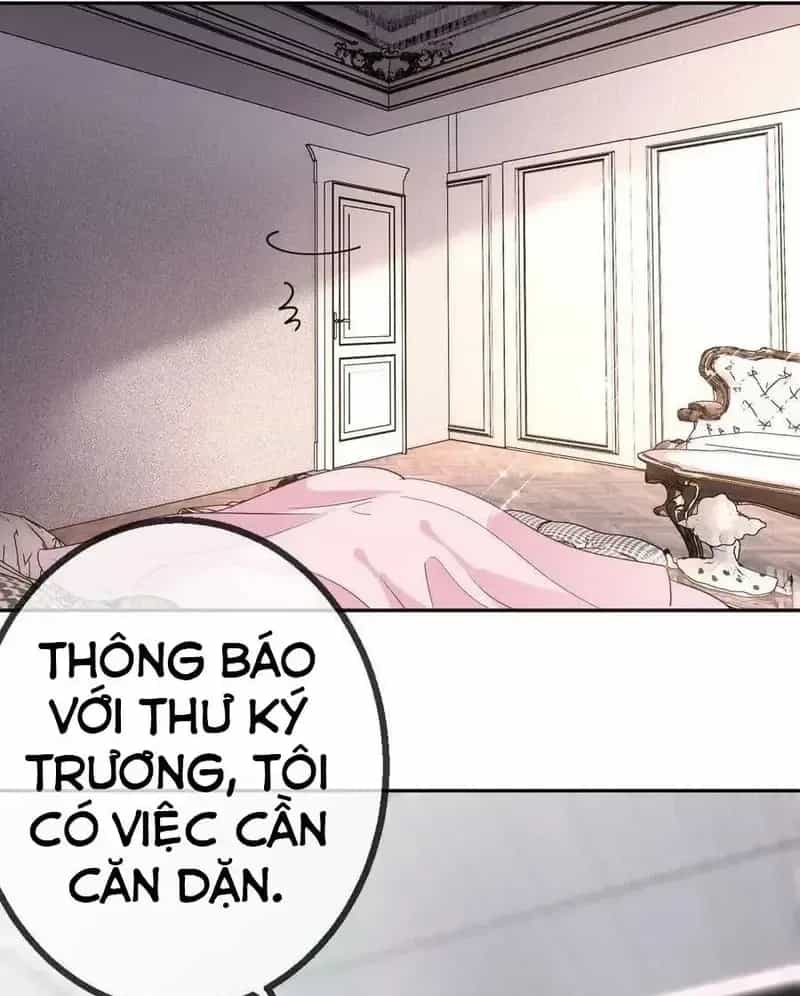 Tùy Ý Thiêu Đốt Lửa Tình - Chương 65 - ảnh 19