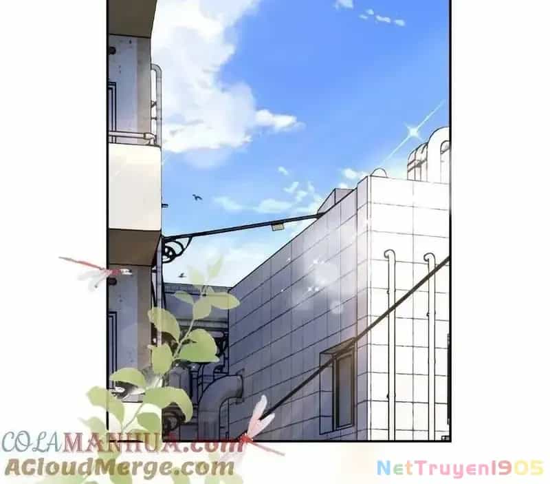 Tùy Ý Thiêu Đốt Lửa Tình - Chương 65 - ảnh 22