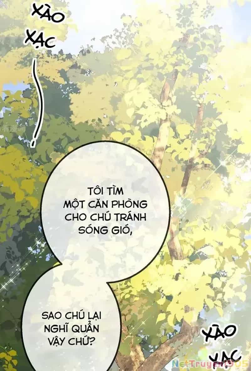 Tùy Ý Thiêu Đốt Lửa Tình - Chương 68 - ảnh 16