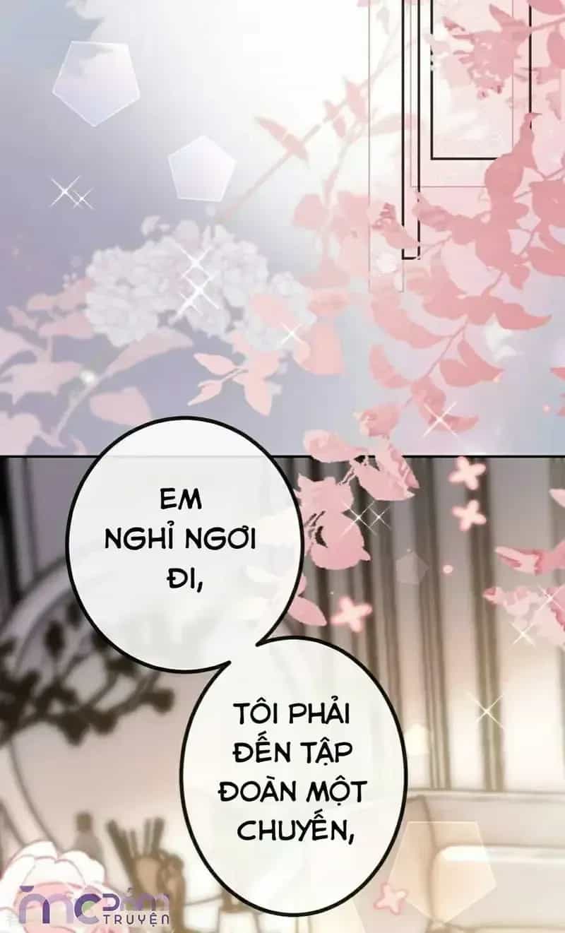 Tùy Ý Thiêu Đốt Lửa Tình - Chương 80 - ảnh 3