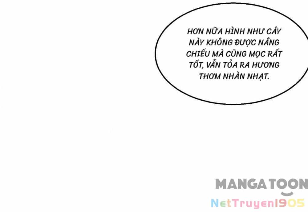 Tuyệt Phẩm Y Thánh - Chương 261 - ảnh 9