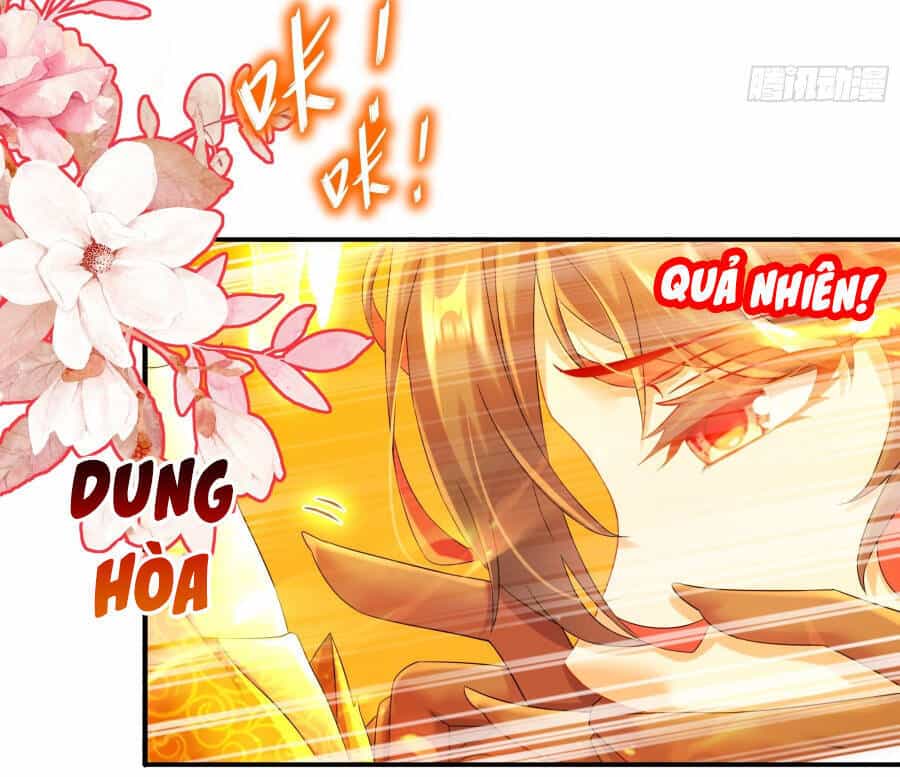 Tuyệt Sắc Đạo Lữ Đều Nói Ngô Hoàng Thể Chất Vô Địch - Chương 7 - ảnh 31
