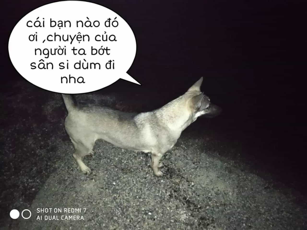 Tuyệt Sắc Quyến Rũ: Quỷ Y Chí Tôn - Chương 152 - ảnh 32
