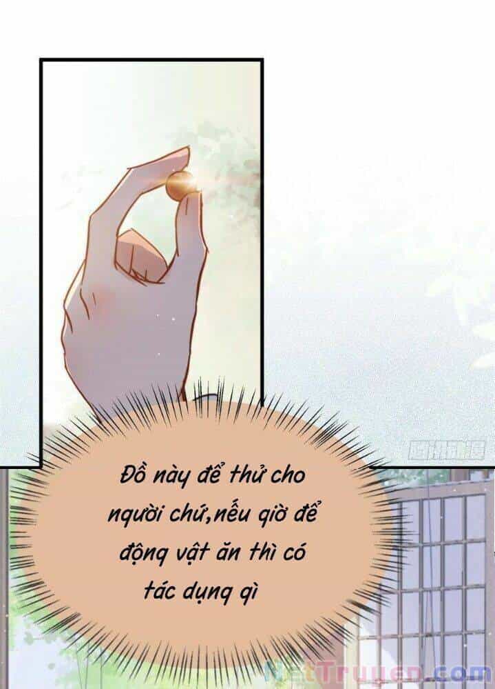 Tuyệt Sắc Quyến Rũ: Quỷ Y Chí Tôn - Chương 262 - ảnh 25