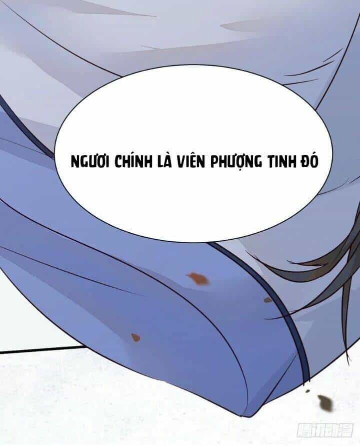Tuyệt Sắc Quyến Rũ: Quỷ Y Chí Tôn - Chương 303 - ảnh 54