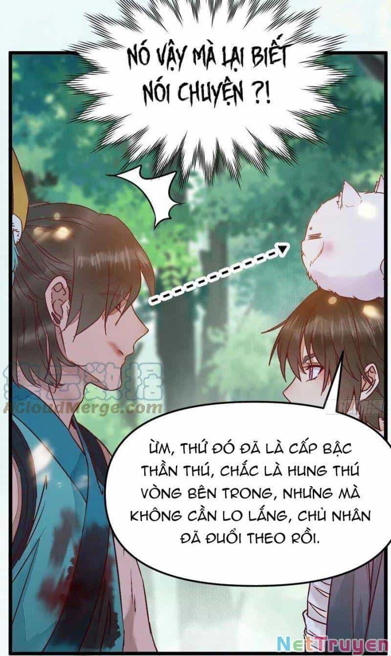 Tuyệt Sắc Quyến Rũ: Quỷ Y Chí Tôn - Chương 430 - ảnh 30