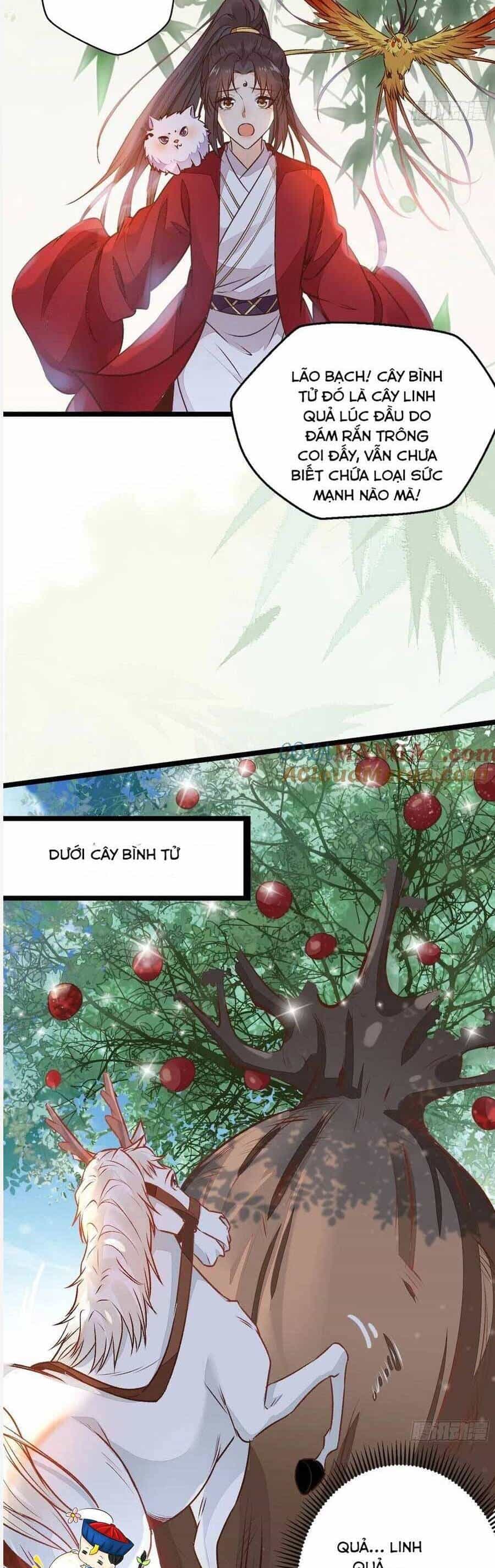 Tuyệt Sắc Quyến Rũ: Quỷ Y Chí Tôn - Chương 504 - ảnh 10