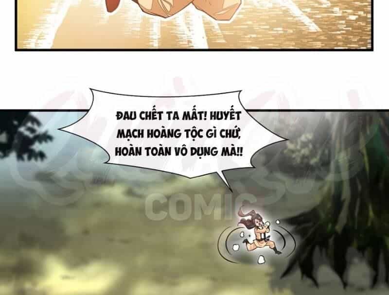 Tuyệt Thế Đế Tôn - Chương 10 - ảnh 5