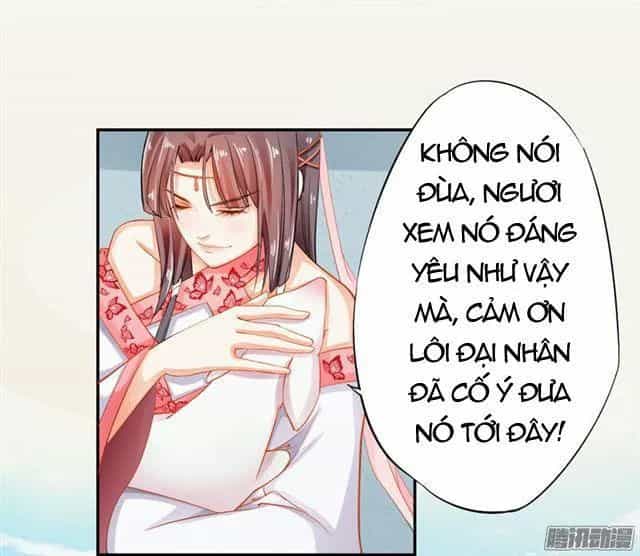 Tuyệt Thế Luyện Đan Sư - Chương 10 - ảnh 37