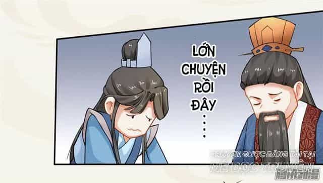 Tuyệt Thế Luyện Đan Sư - Chương 10 - ảnh 41