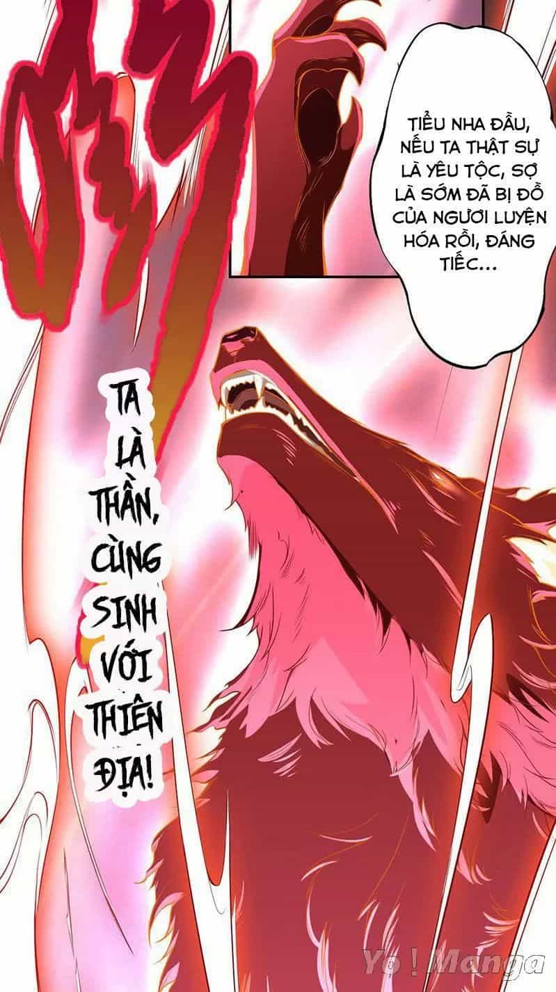 Tuyệt Thế Luyện Đan Sư - Chương 113 - ảnh 16