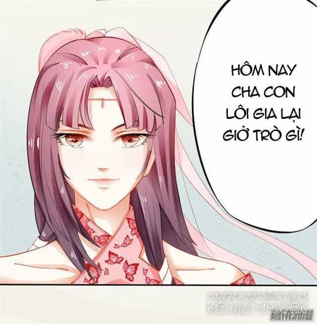 Tuyệt Thế Luyện Đan Sư - Chương 14 - ảnh 11
