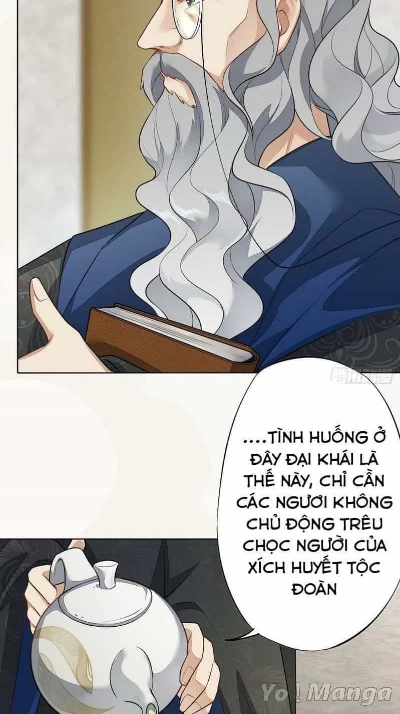 Tuyệt Thế Luyện Đan Sư - Chương 151 - ảnh 29