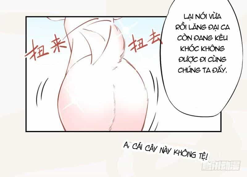 Tuyệt Thế Luyện Đan Sư - Chương 33 - ảnh 19