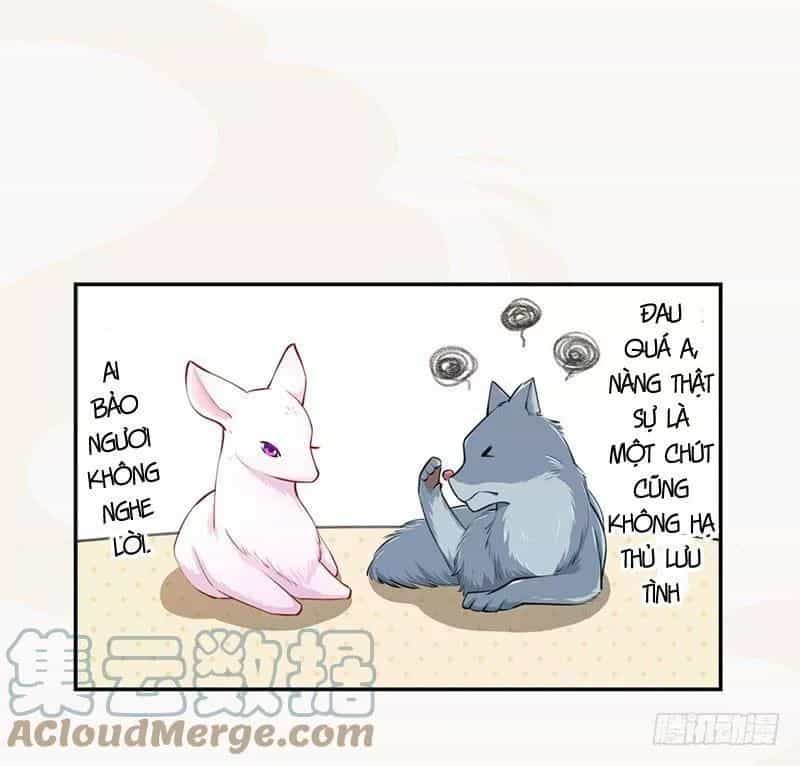 Tuyệt Thế Luyện Đan Sư - Chương 34 - ảnh 34