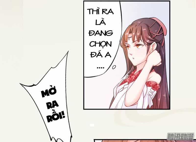 Tuyệt Thế Luyện Đan Sư - Chương 6 - ảnh 4