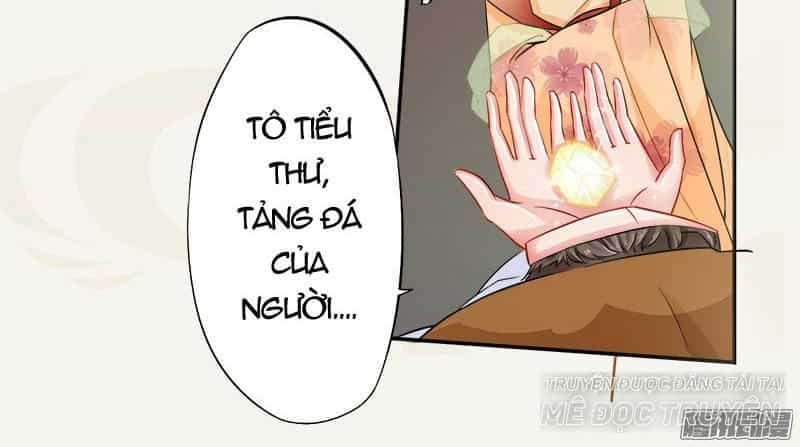 Tuyệt Thế Luyện Đan Sư - Chương 6 - ảnh 41