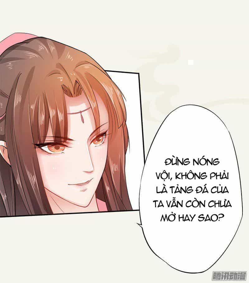 Tuyệt Thế Luyện Đan Sư - Chương 6 - ảnh 42