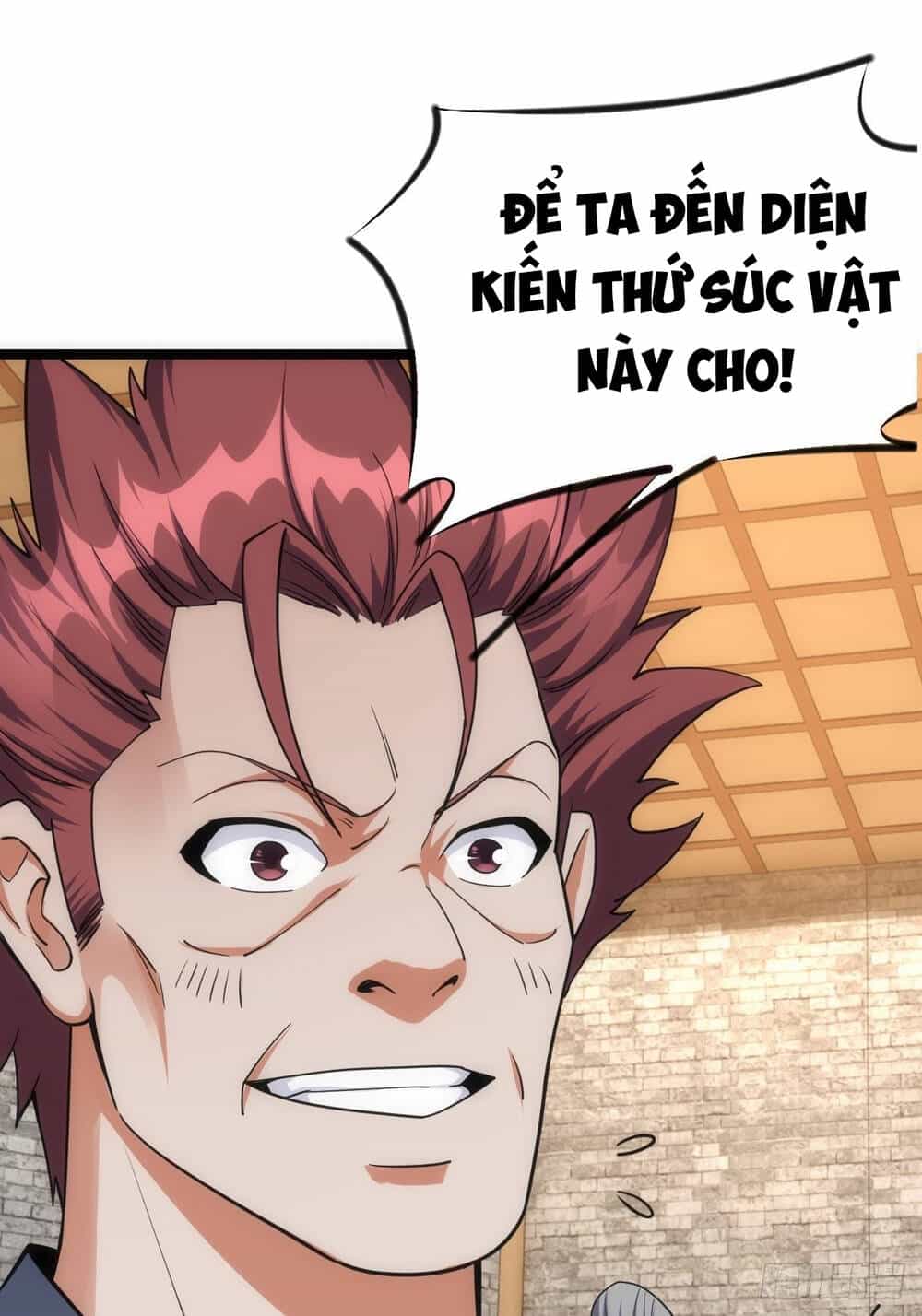 Tuyệt Thế Võ Công - Chương 27 - ảnh 9