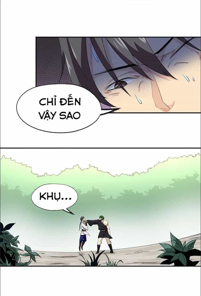 Tuyệt Thế Võ Hồn - Chương 35 - ảnh 13