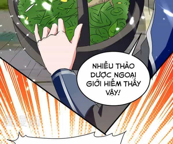 Tuyệt Thế Võ Hồn - Chương 55 - ảnh 16
