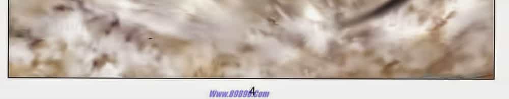 Tuyệt Thế Vô Song 2 - Chương 81 - ảnh 6