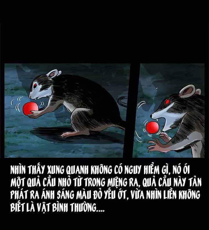 U Minh Ngụy Tượng - Chương 167 - ảnh 8