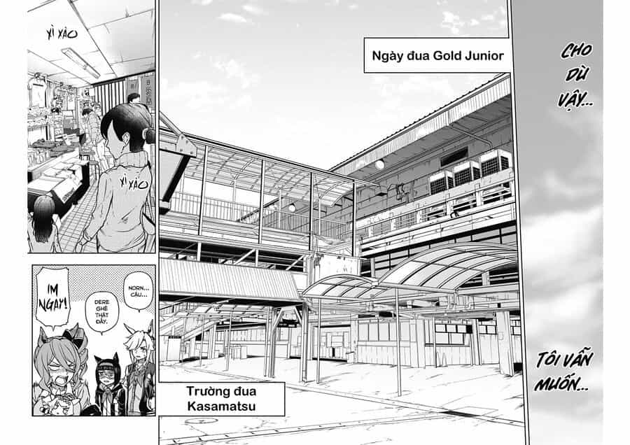 Uma Musume: Cinderella Gray - Chương 13 - ảnh 6