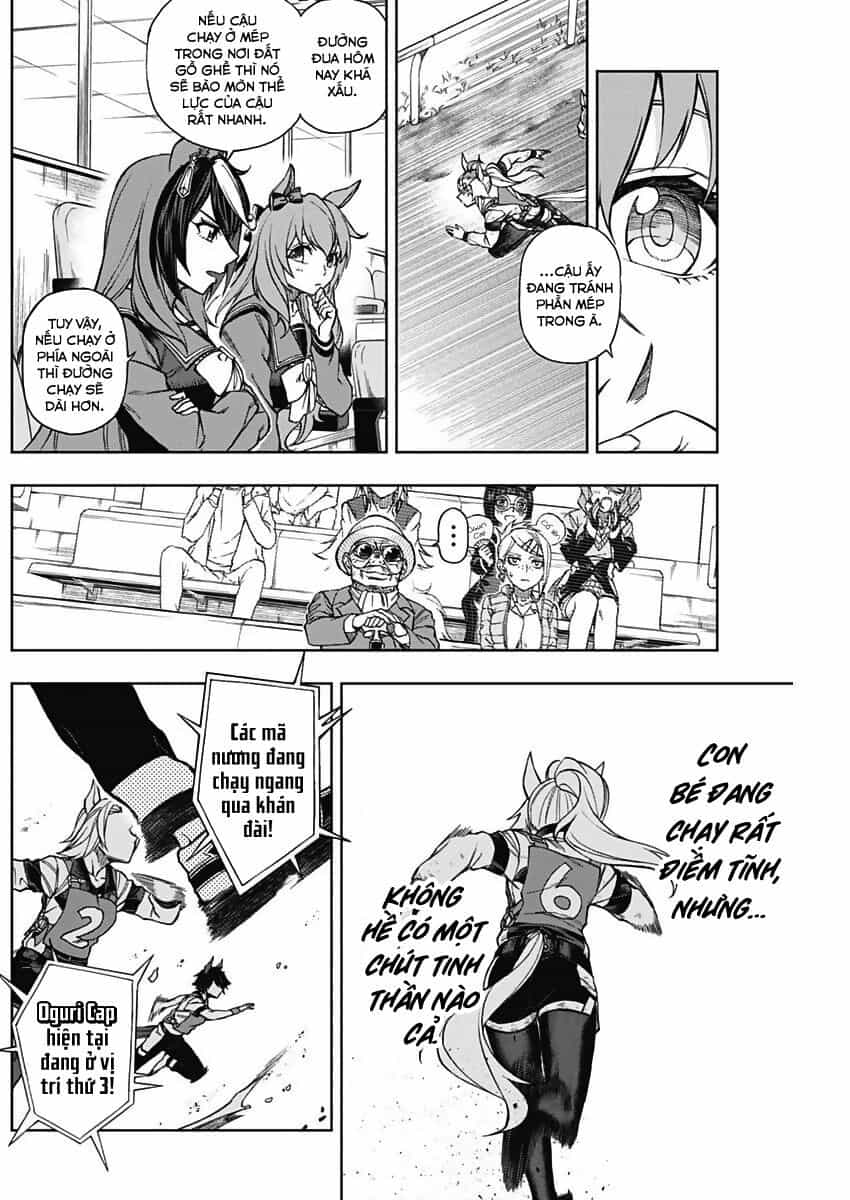 Uma Musume: Cinderella Gray - Chương 14 - ảnh 8