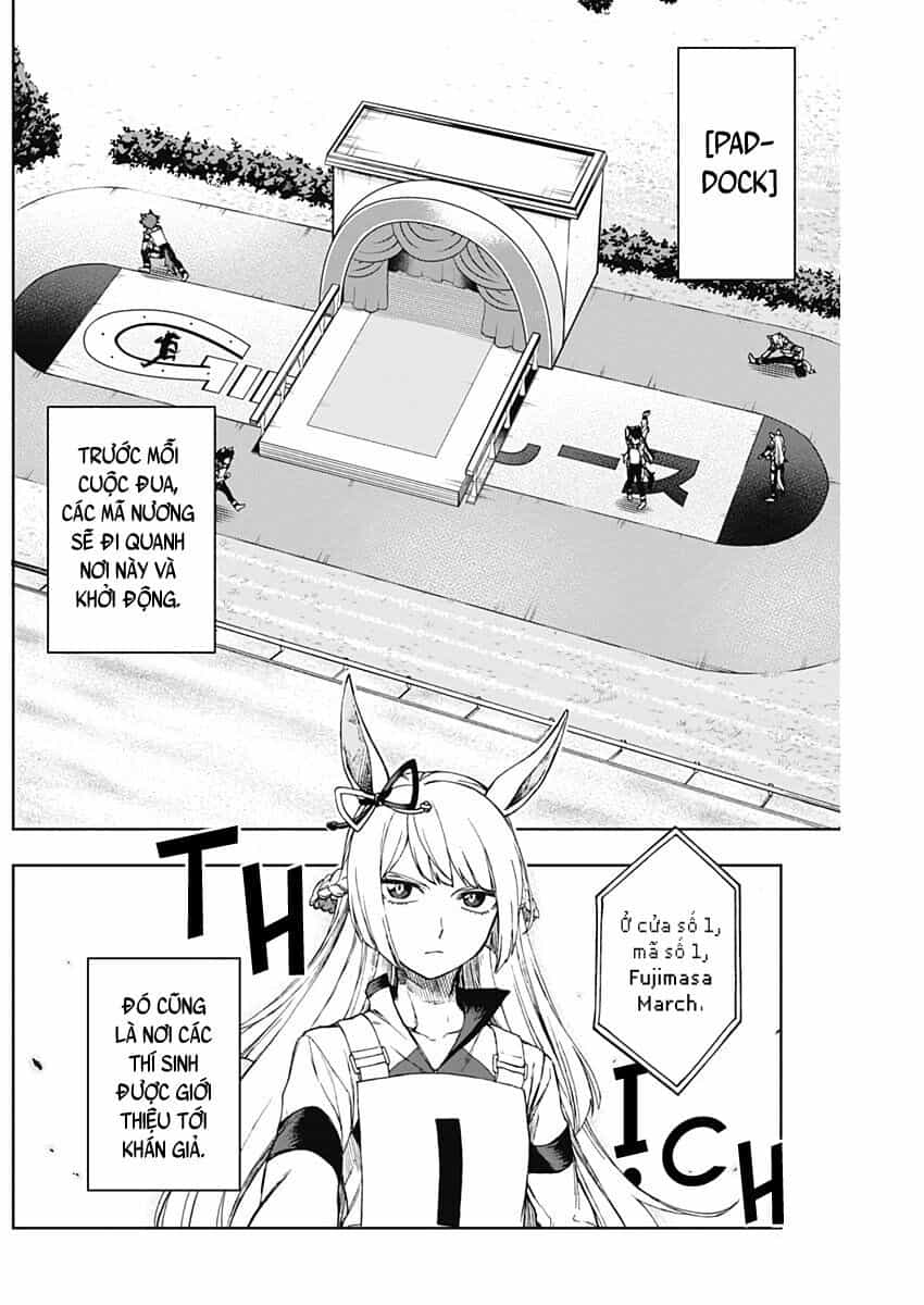 Uma Musume: Cinderella Gray - Chương 2 - ảnh 33