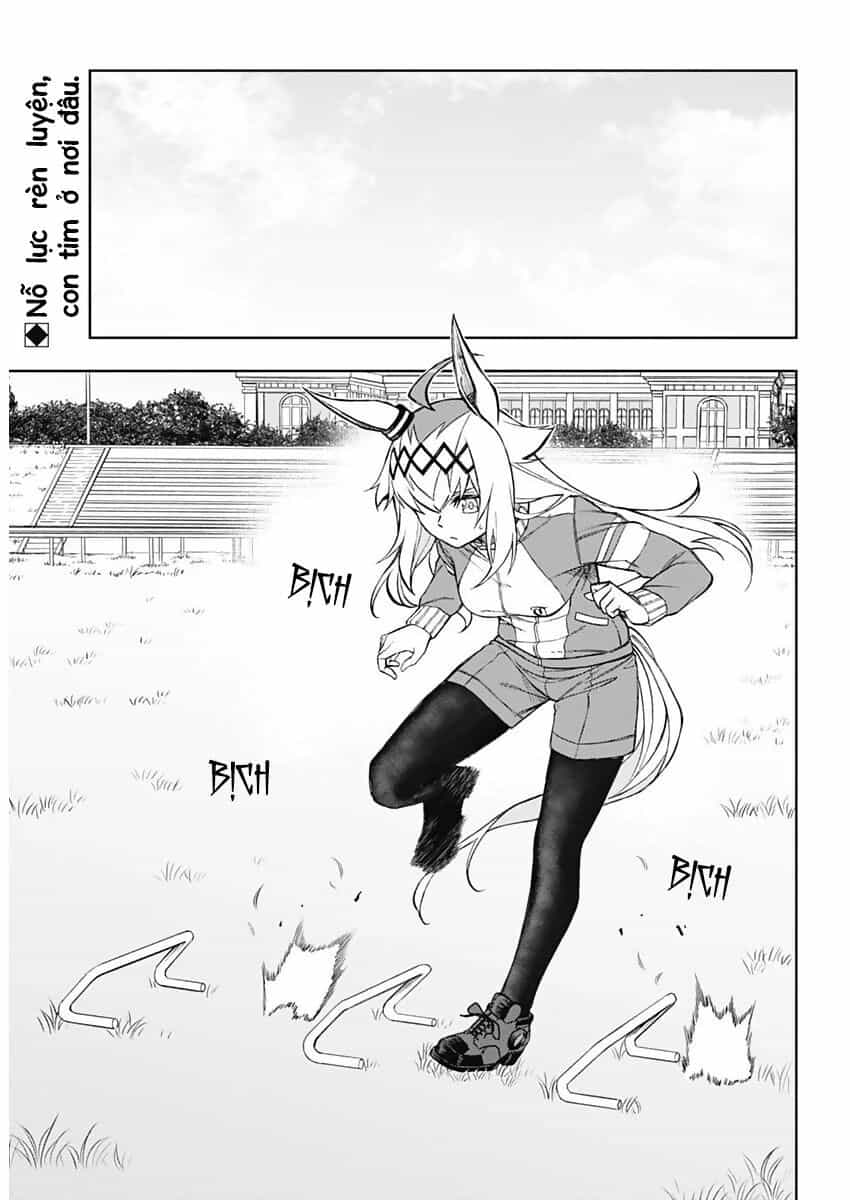 Uma Musume: Cinderella Gray - Chương 19 - ảnh 2