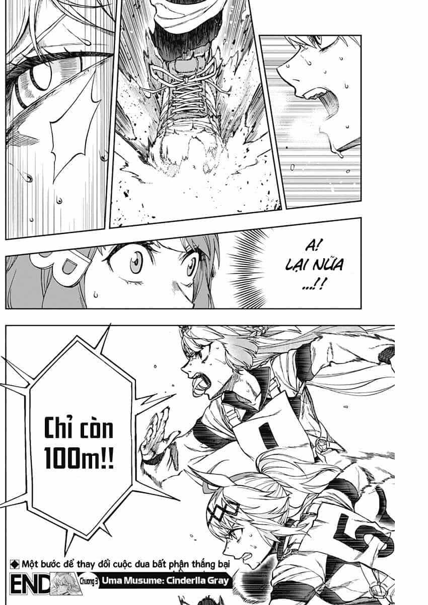 Uma Musume: Cinderella Gray - Chương 3 - ảnh 19