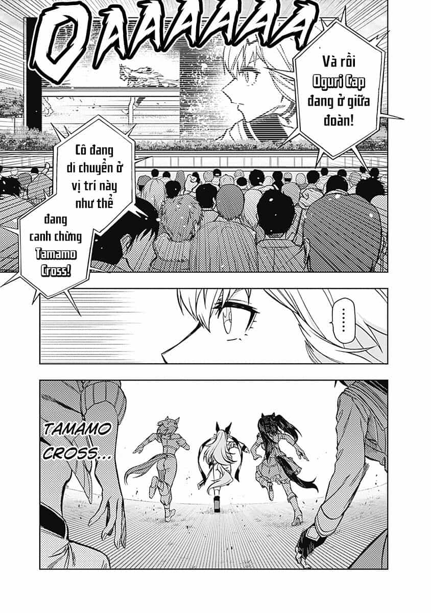 Uma Musume: Cinderella Gray - Chương 37 - ảnh 16