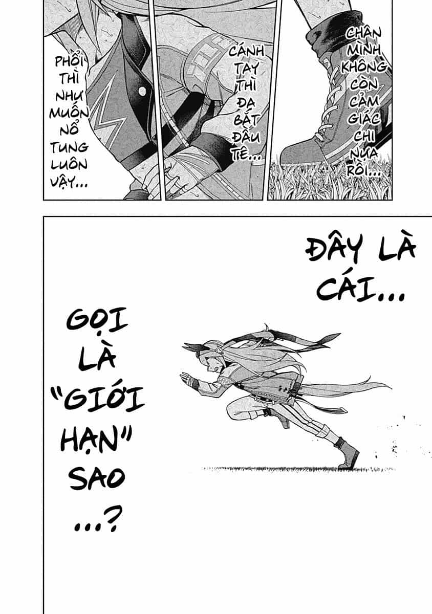 Uma Musume: Cinderella Gray - Chương 41 - ảnh 9