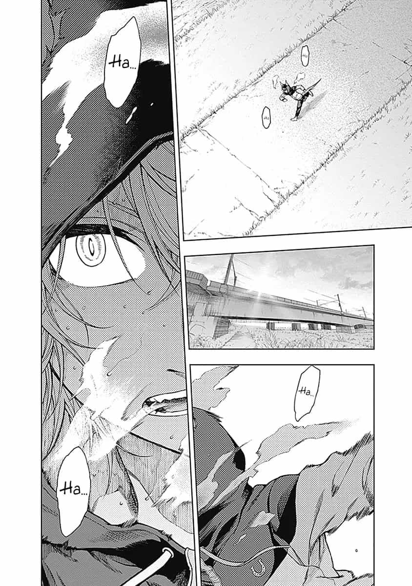 Uma Musume: Cinderella Gray - Chương 61 - ảnh 3