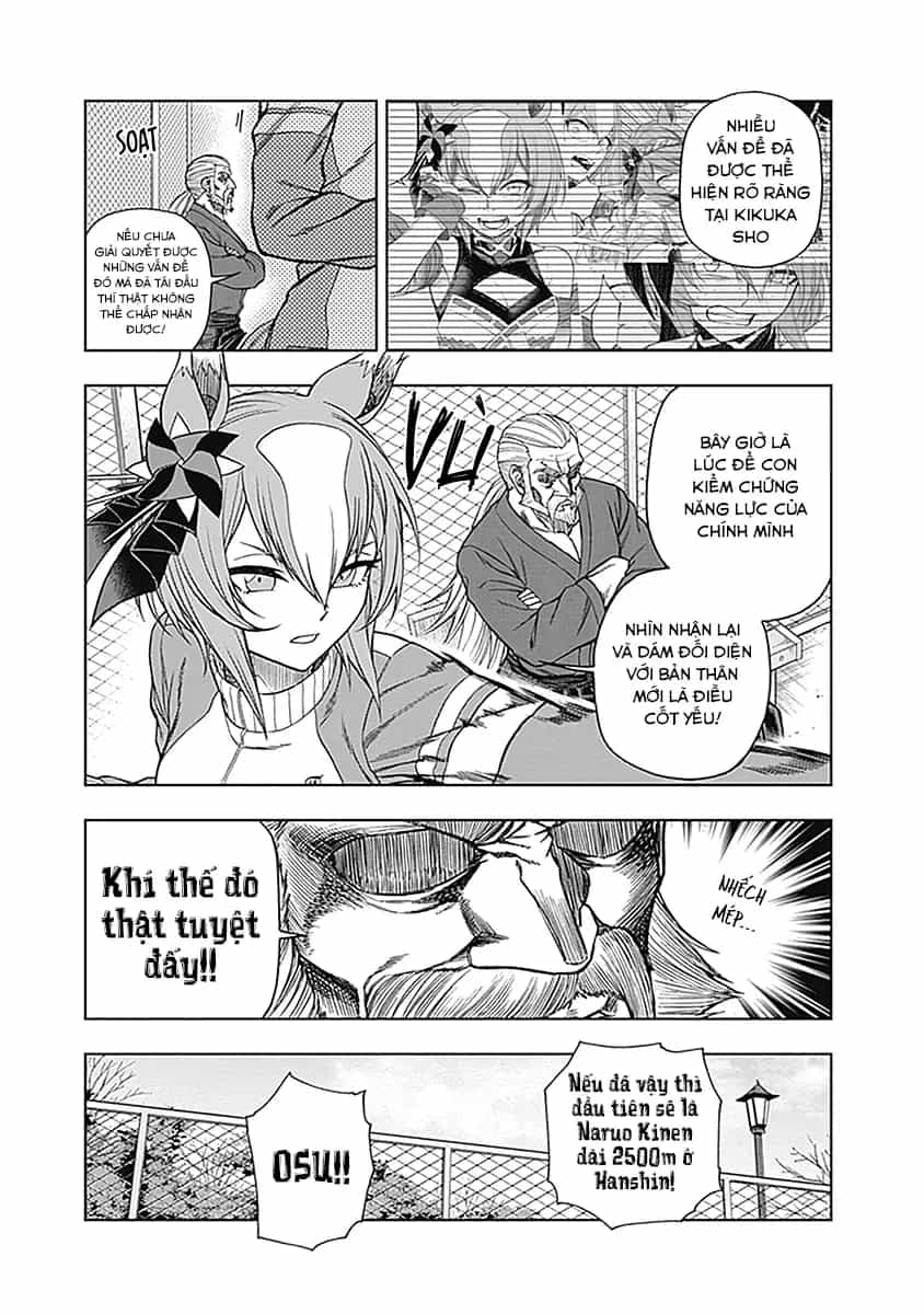 Uma Musume: Cinderella Gray - Chương 61 - ảnh 8
