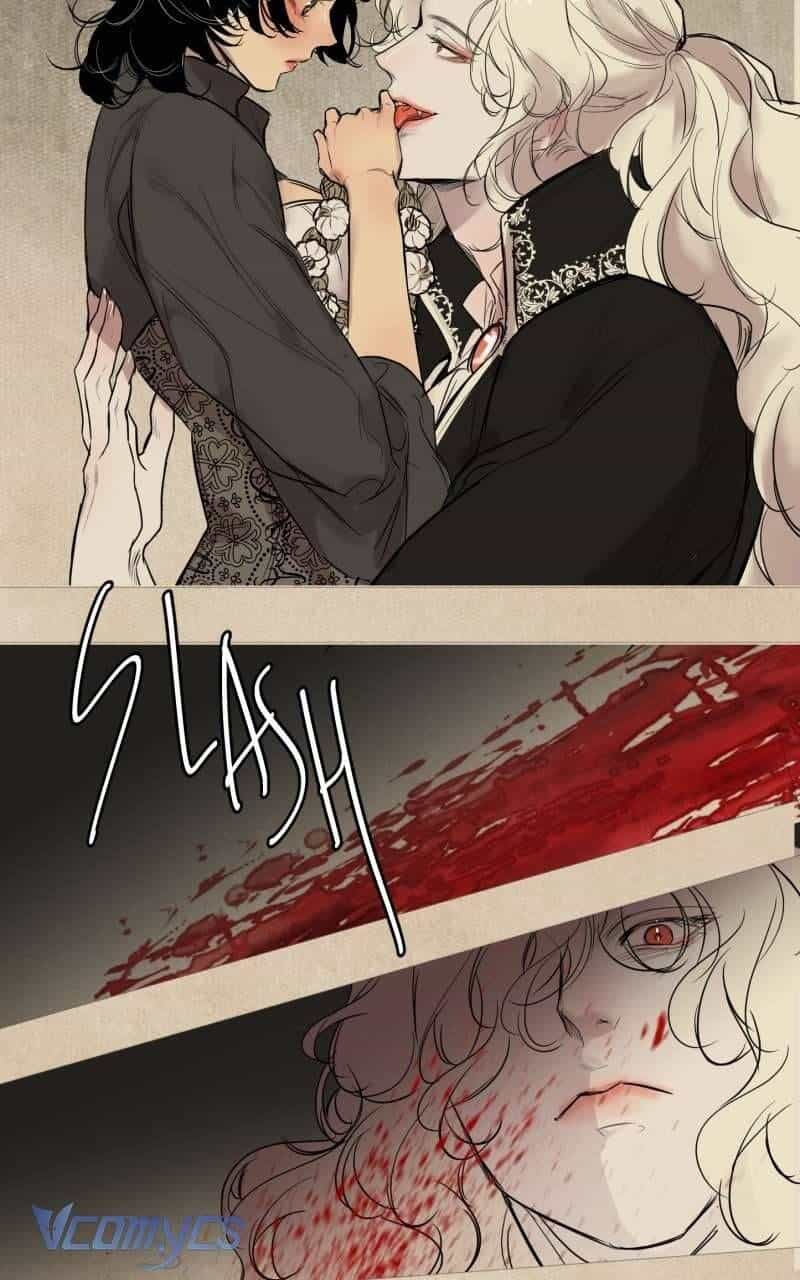 Vampire Gặp Thợ Săn - Chương 2 - ảnh 2