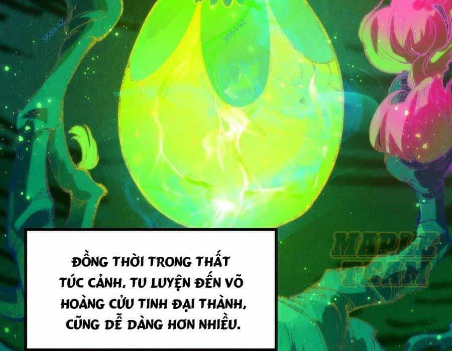 Vạn Cổ Chí Tôn - Chương 256 - ảnh 33