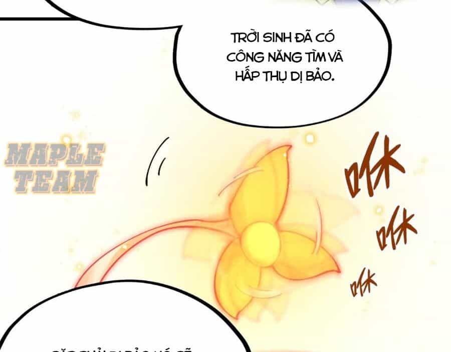Vạn Cổ Chí Tôn - Chương 269 - ảnh 4